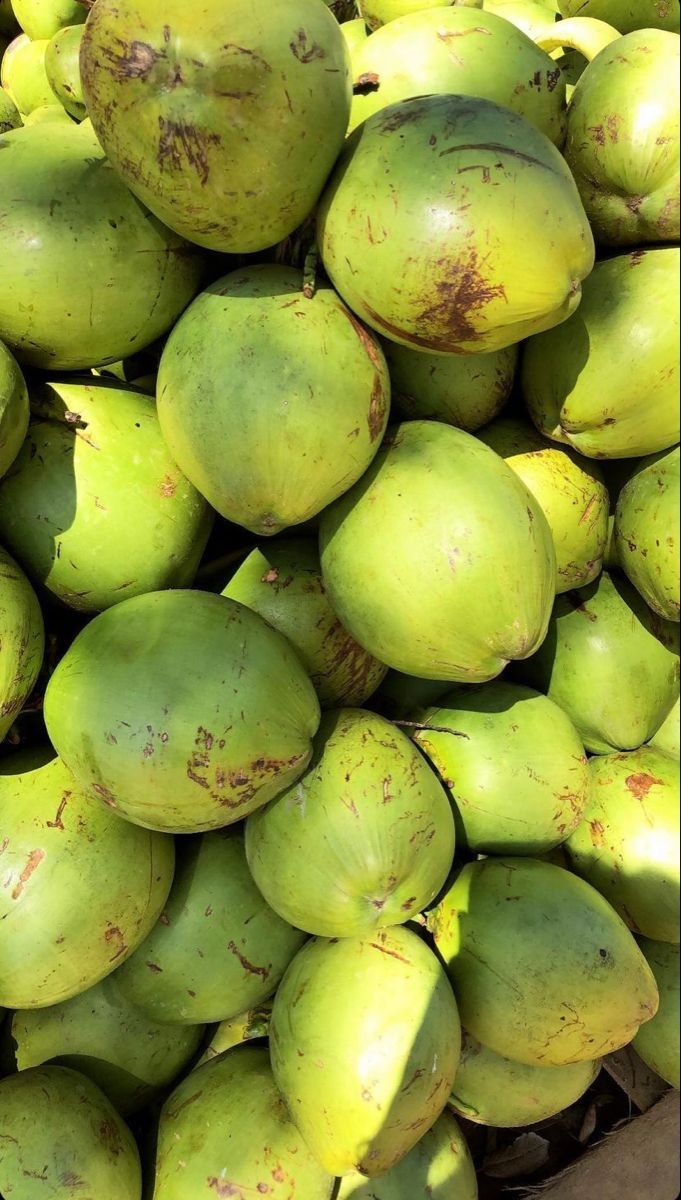 Tender Coconut